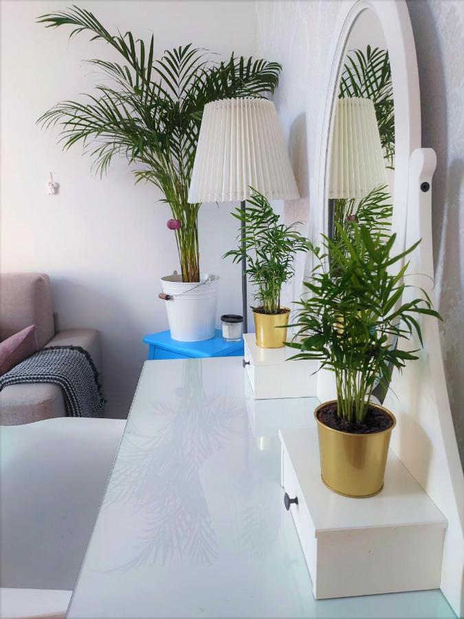 Apartment With Spacious Terrace Villa Floramy Opatija Exterior foto